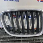 GRILA FATA