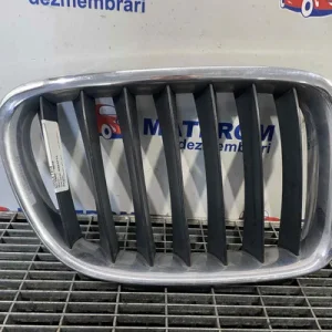 GRILA FATA
