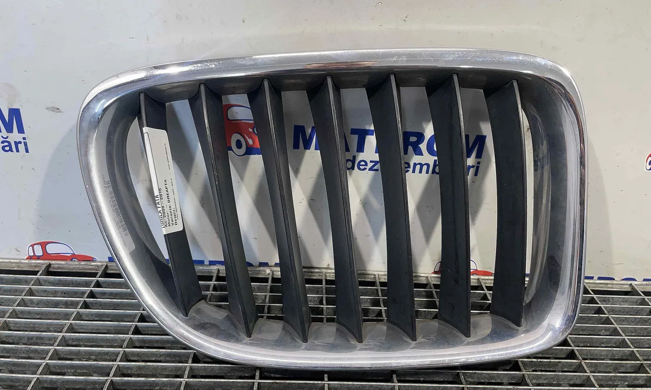 GRILA FATA BMW X1 2009-2015