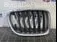 GRILA FATA BMW X1 xDrive 20D 2009-2015 oe 51112993308, vedere frontata