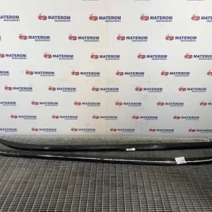 BARE PAVILION