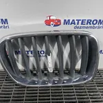 GRILA FATA BMW X3 xDrive 20D 2010-2017, vedere frontata