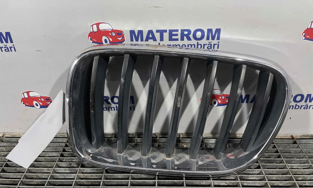 GRILA FATA BMW X3 2010-2017