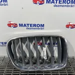 GRILA FATA BMW X3 xDrive 20D 2010-2017 oe-51117210725, vedere frontata