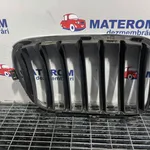 GRILA FATA BMW X3 xDrive 20D 2010-2017 oe-51117210725, vedere laterala