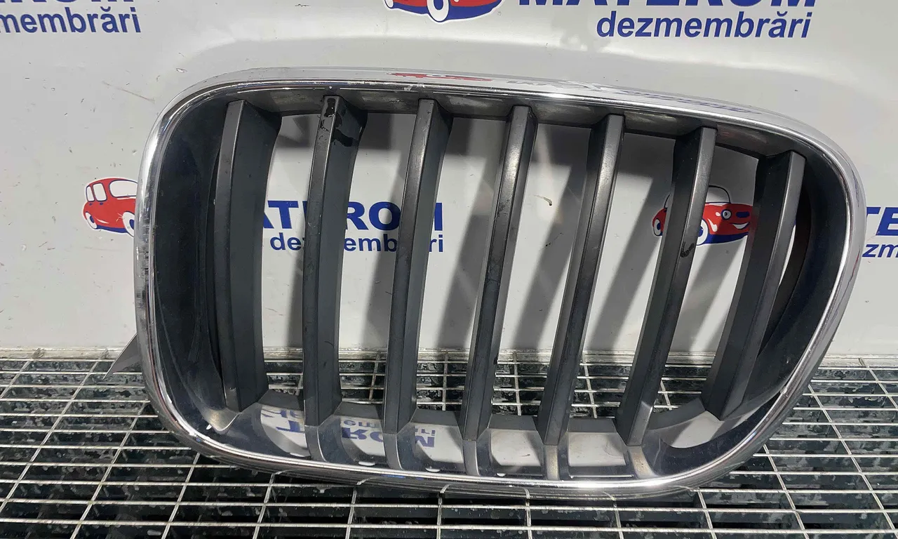 GRILA FATA BMW X3 2010-2017