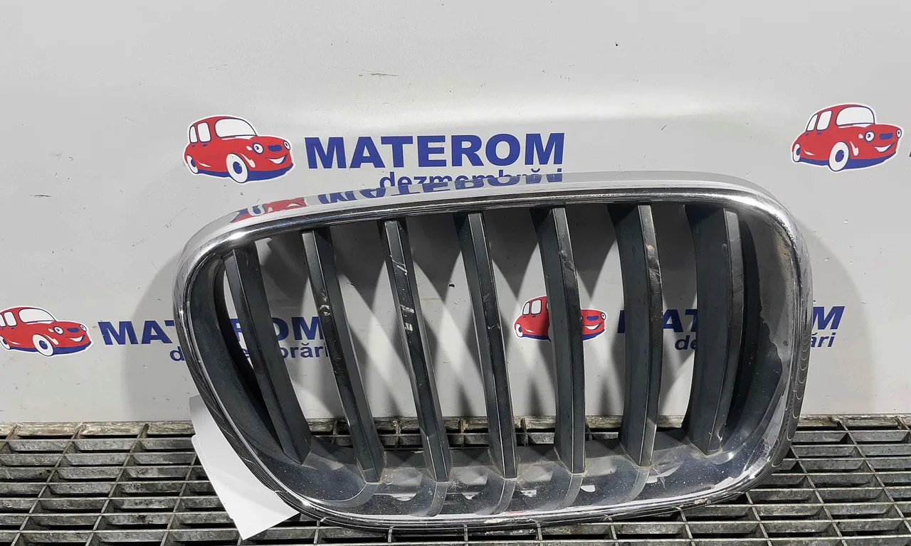 GRILA FATA BMW X3 2010-2017