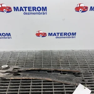 TENDON SPATE