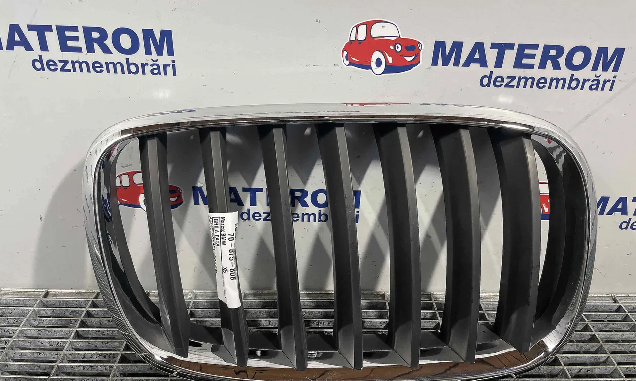 GRILA FATA BMW X5 2000-2006