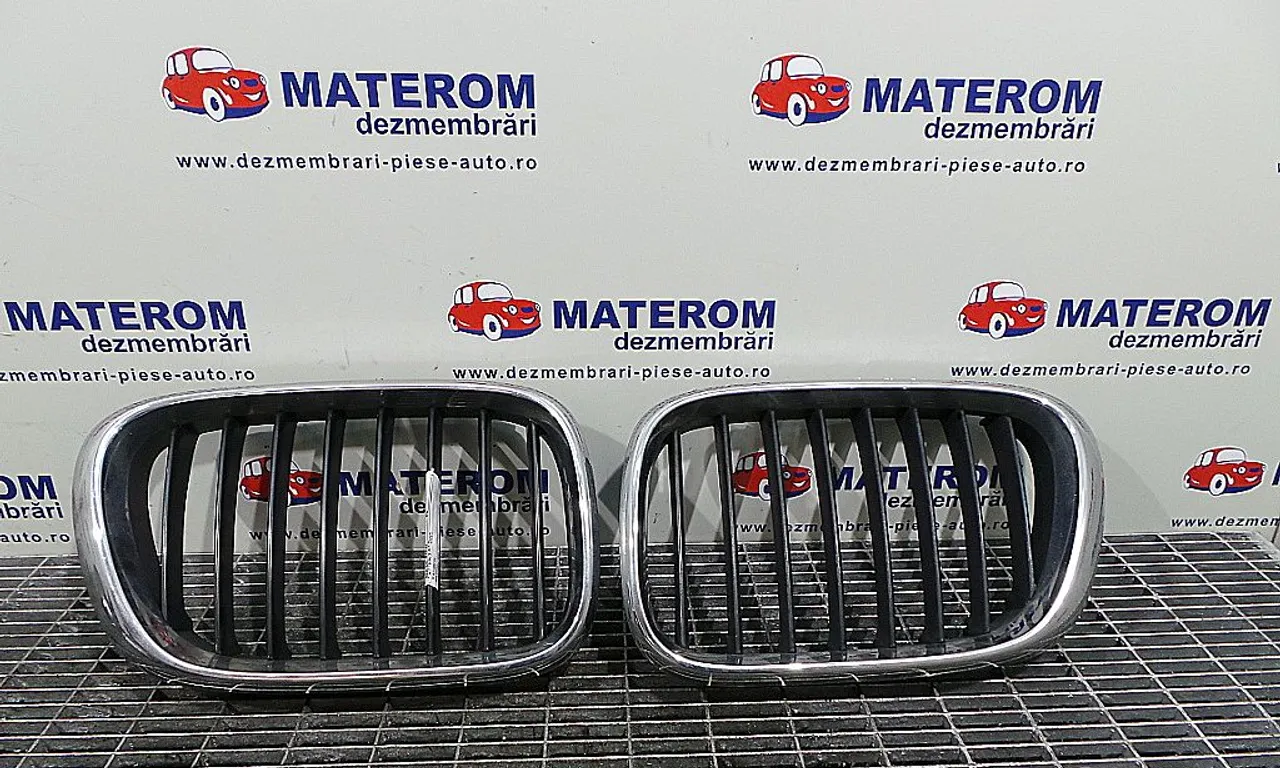 GRILA FATA BMW X5 2000-2006