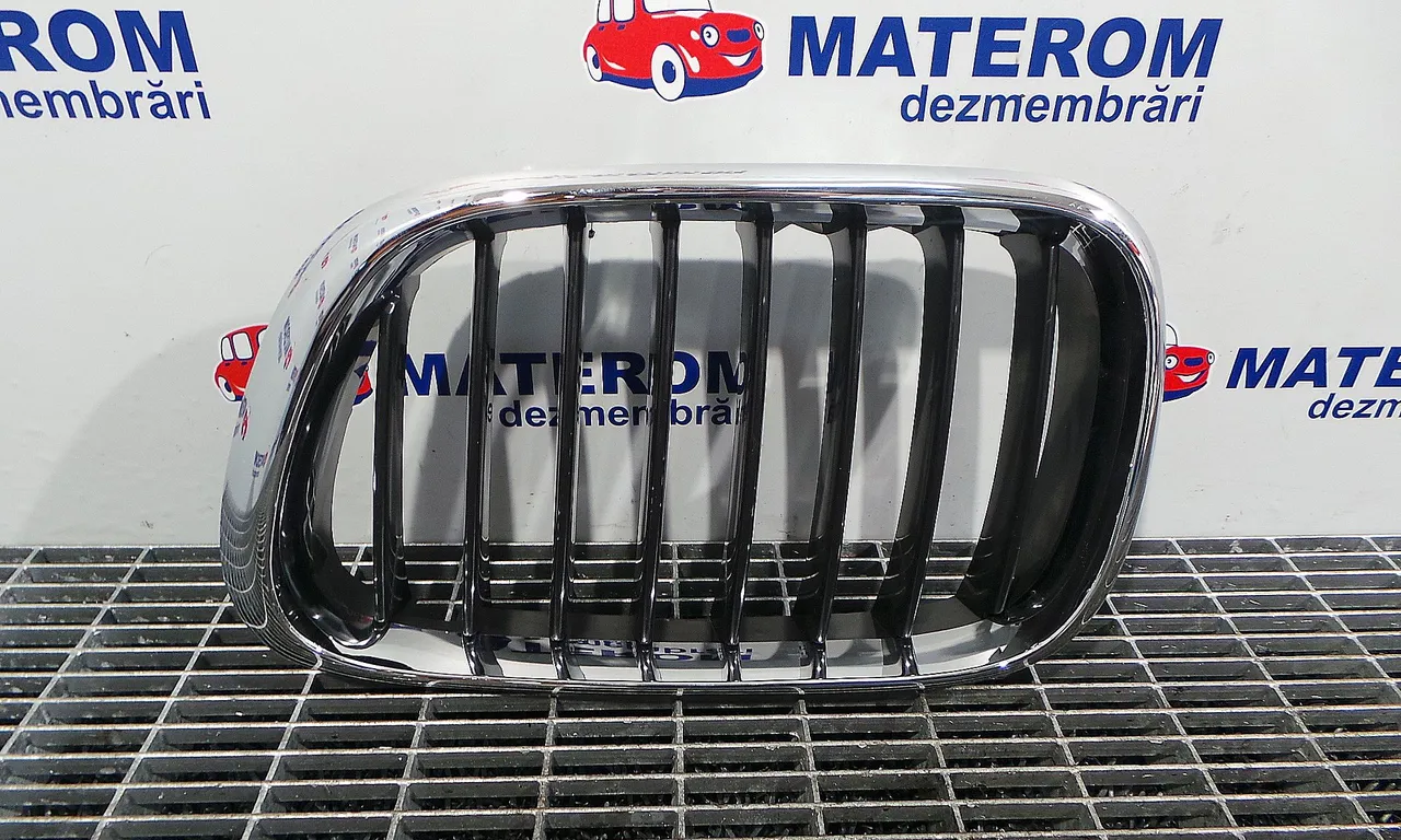 GRILA FATA BMW X5 2000-2006