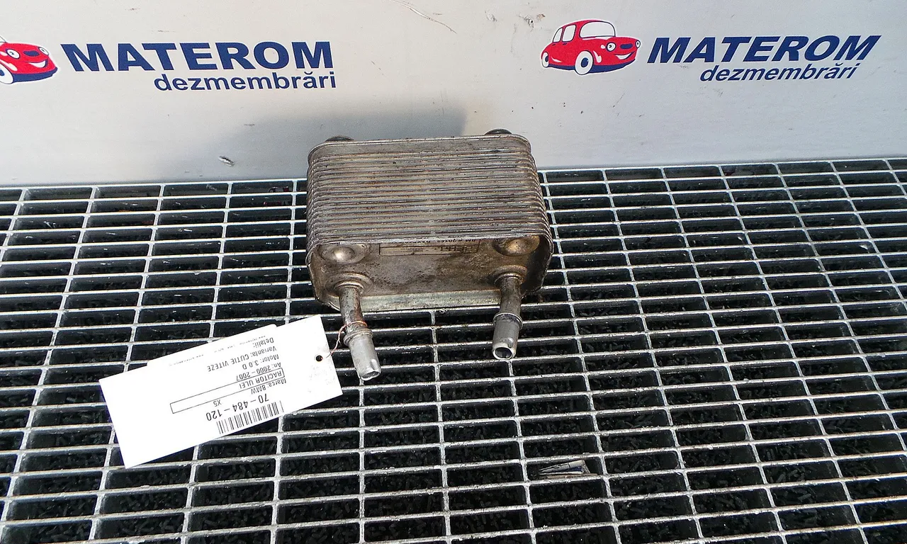 RACITOR ULEI BMW X5 2000-2006