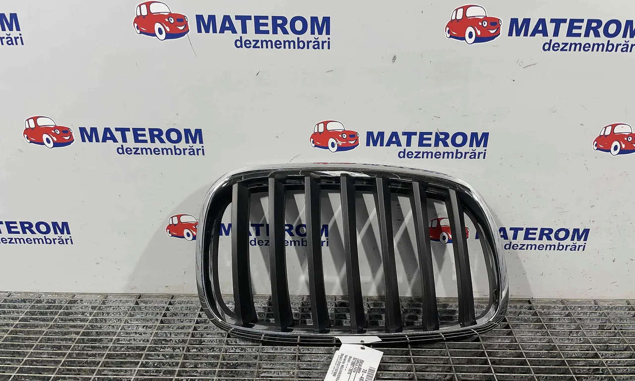GRILA FATA BMW X5 2006-2013