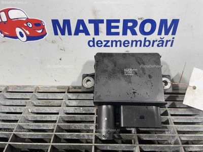 RELEU BUJII