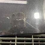 ELERON BMW X5 2013-2018 oe-7294468, vedere laterala