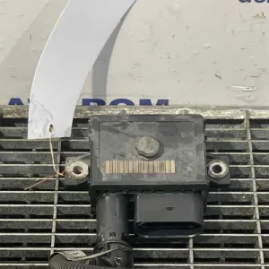 RELEU BUJII