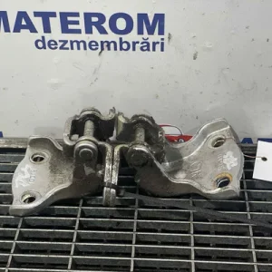 BALAMA USA SPATE