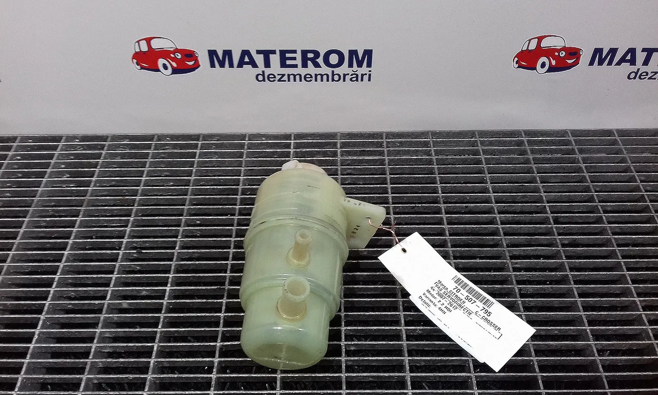 VAS SERVODIRECTIE CITROEN C-CROSSER 2007-2012