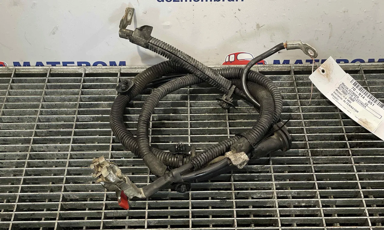 INSTALATIE ELECTRICA CITROEN C3 I 2002-2013