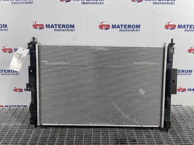 RADIATOR MOTOR