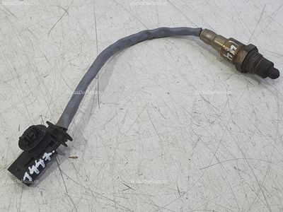 Sonda lambda