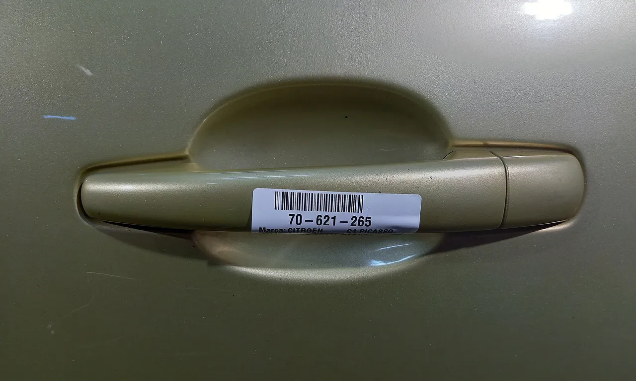 MANER USA SPATE STANGA CITROEN C4 PICASSO I 2006-2015