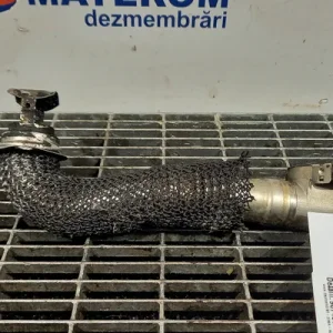TEAVA EGR