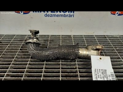 TEAVA EGR