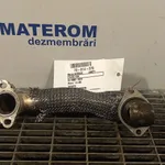 TEAVA EGR