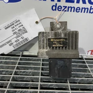 RELEU BUJII