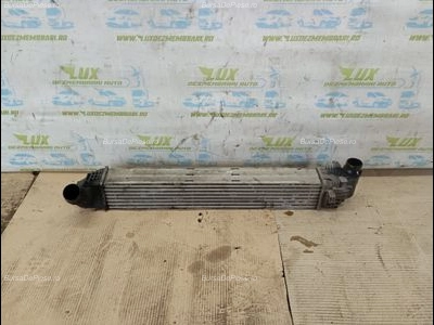 Radiator intercooler