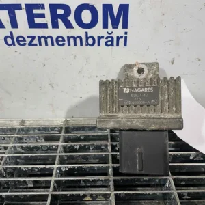 RELEU BUJII