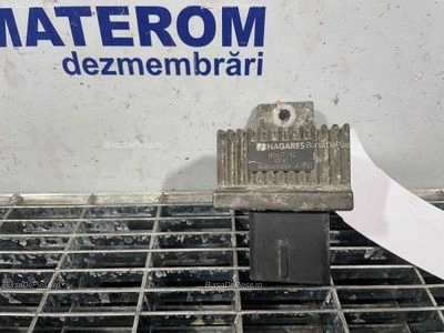RELEU BUJII
