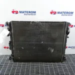 RADIATOR MOTOR
