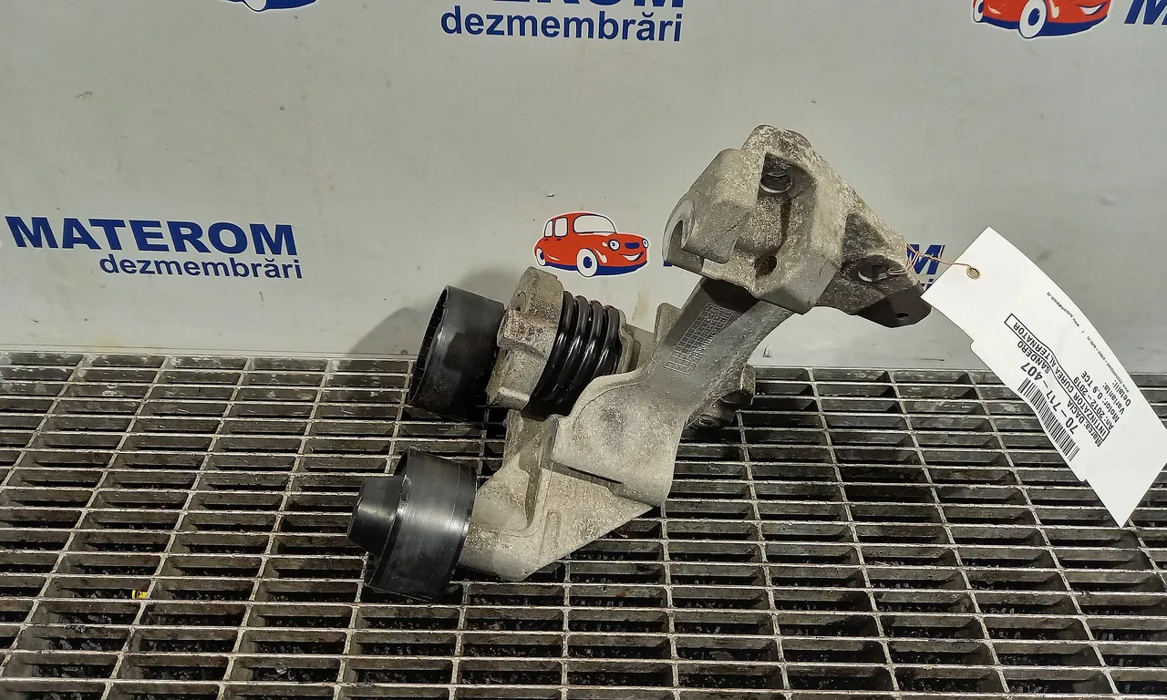 INTINZATOR CUREA ALTERNATOR DACIA SANDERO II 2012-2019