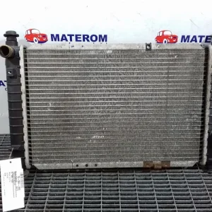 RADIATOR MOTOR