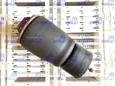 PERNA DE AER SPATE XF DAF 65 CF oe 1529833, vedere frontata