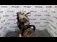 MOTOR FIAT ALBEA 1.4 Flex 1996-2016 oe 71745118, vedere laterala