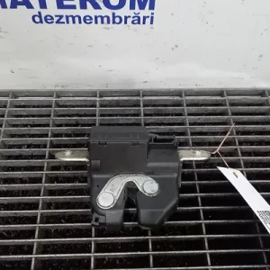 INCUIETOARE HAION