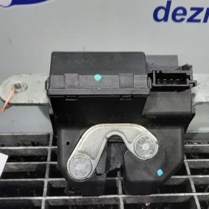 INCUIETOARE HAION