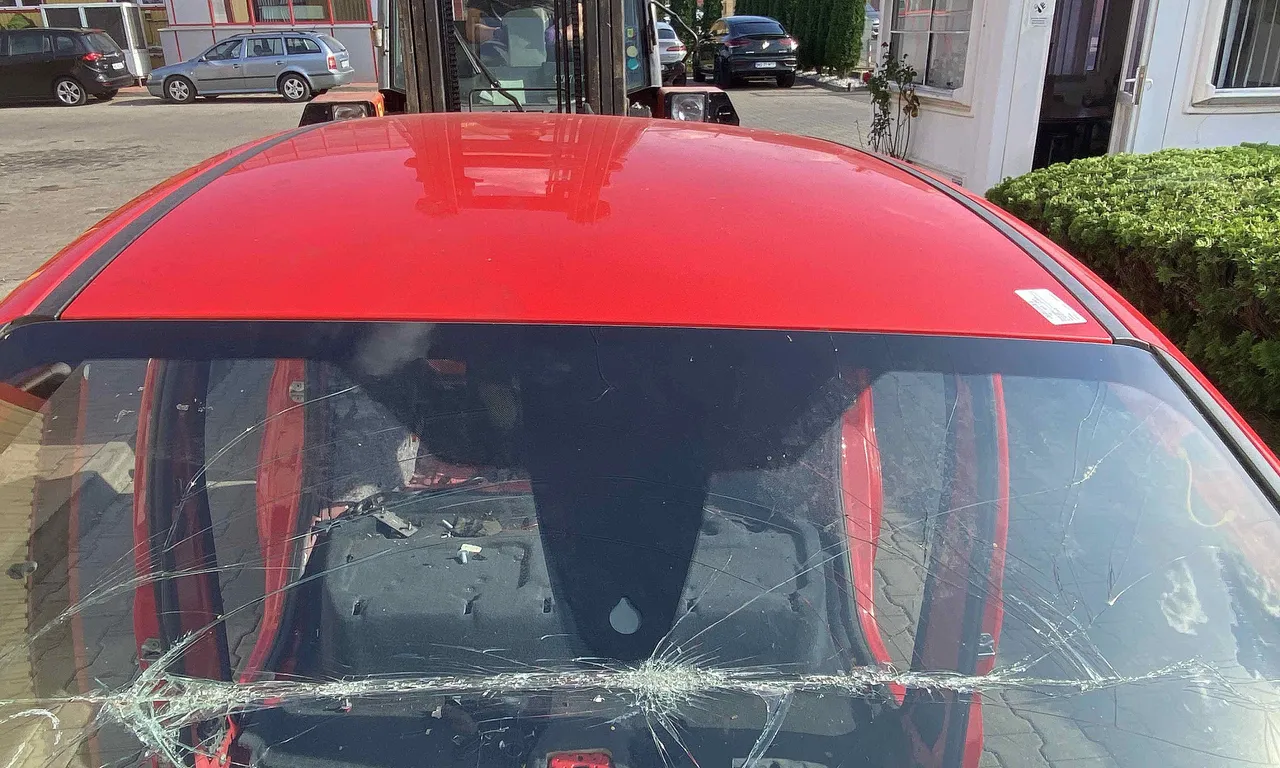 PAVILION FORD C-MAX II 2010-2019