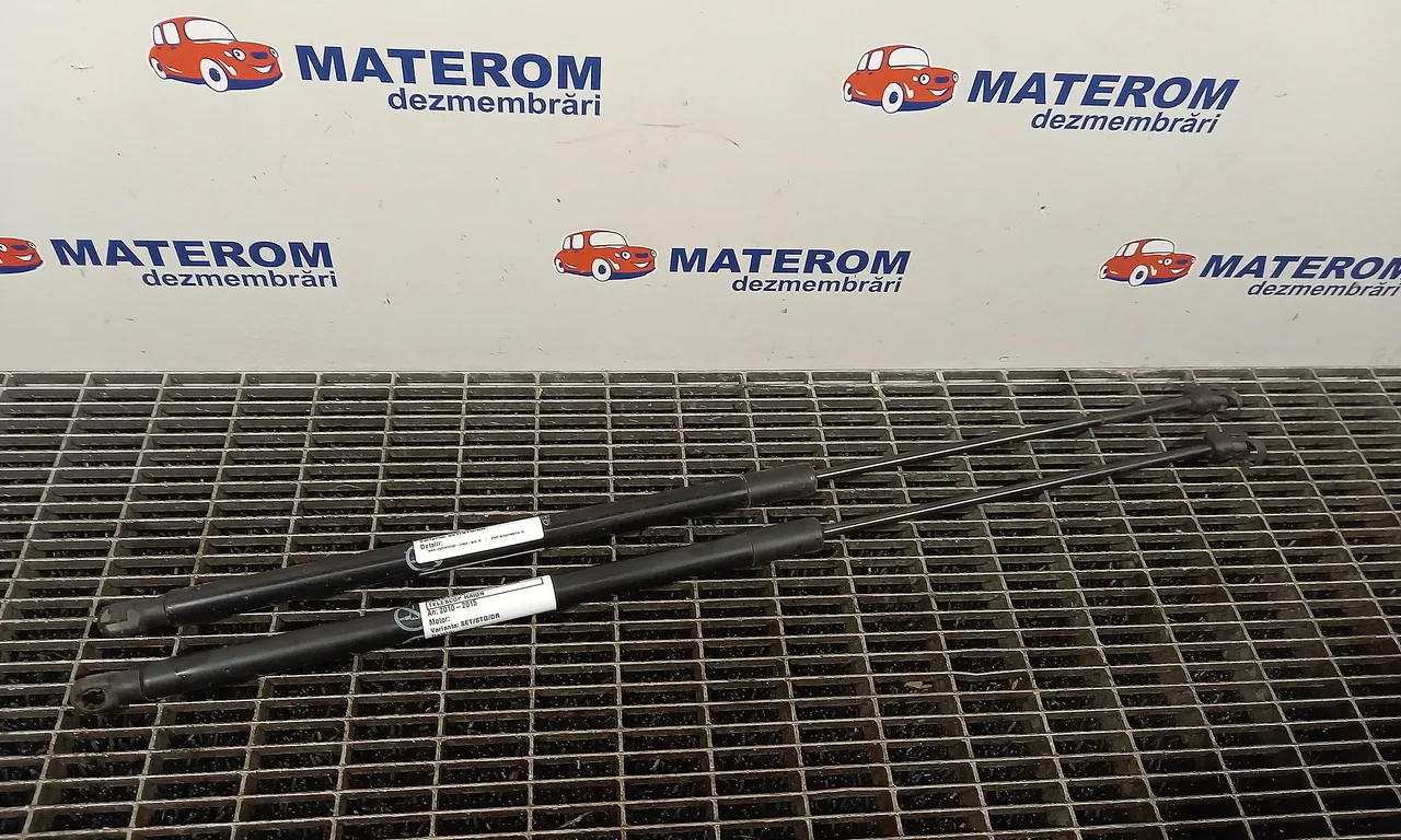 TELESCOP HAION FORD C-MAX II 2010-2019