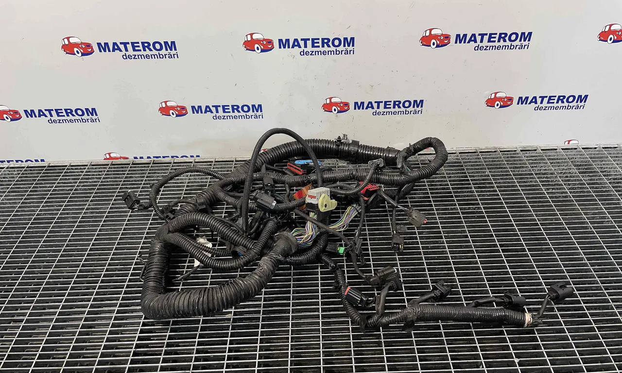 INSTALATIE ELECTRICA FORD C-MAX II 2010-2019