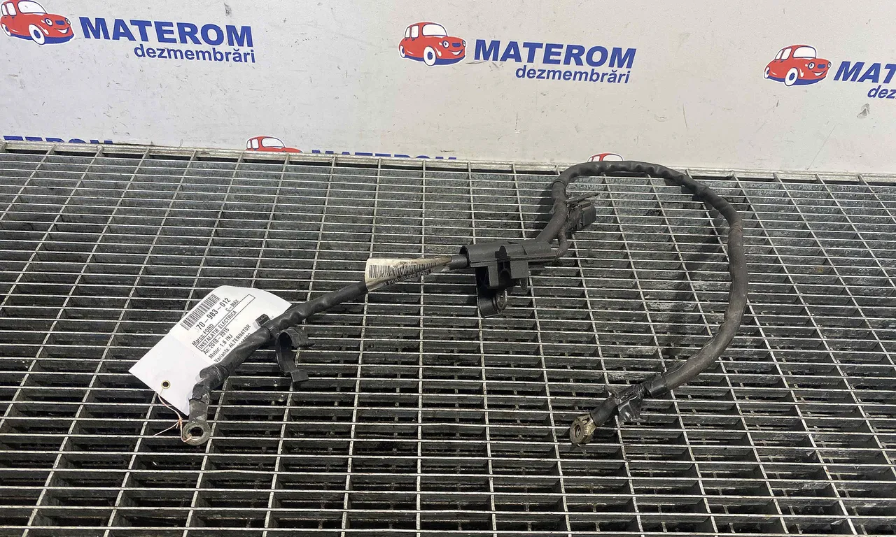 INSTALATIE ELECTRICA FORD C-MAX II 2010-2019