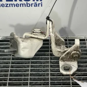 BALAMA USA SPATE