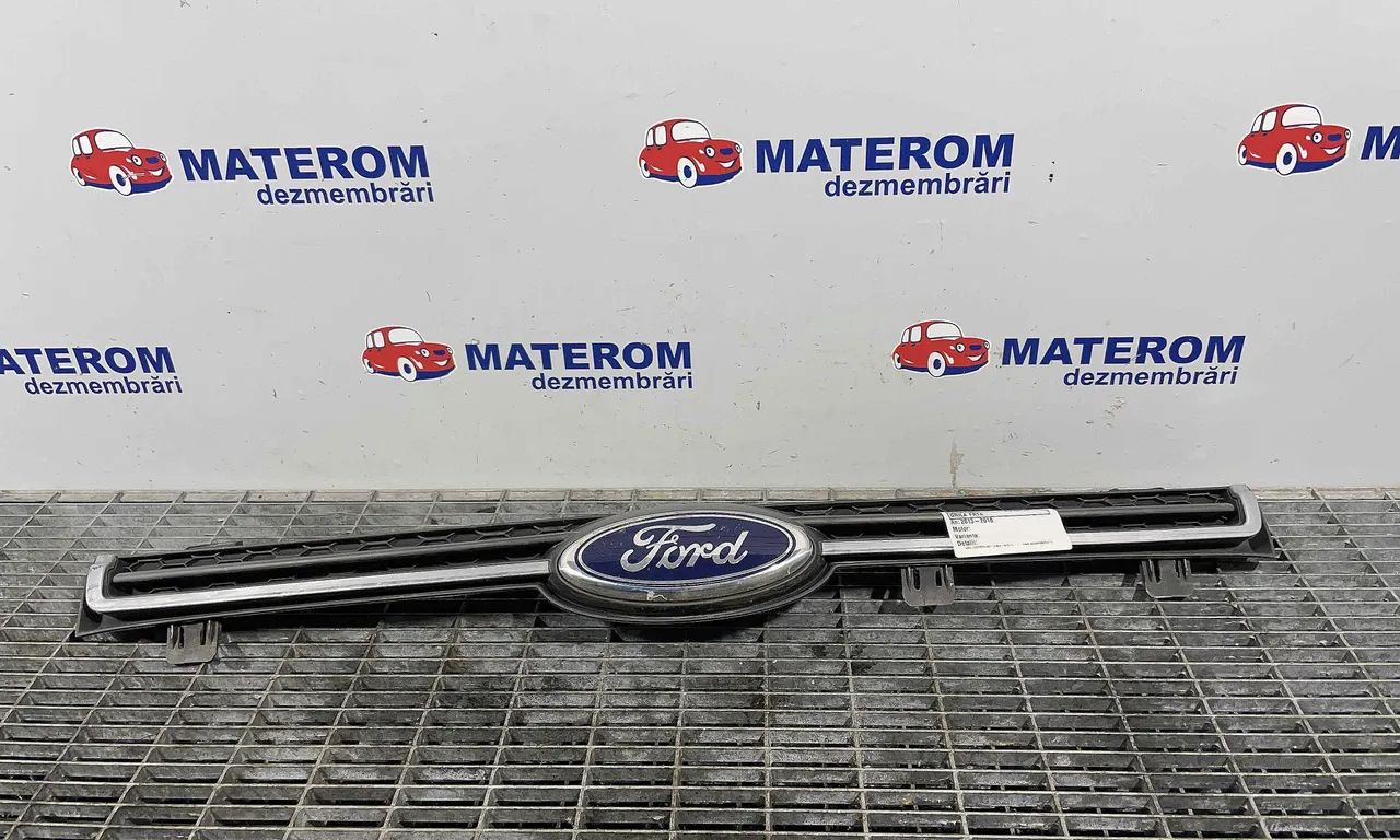 GRILA FATA FORD ECOSPORT 2011-2022