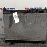 RADIATOR MOTOR FORD ECOSPORT 1.0 EcoBoost 2011-2022 oe-1768105, vedere frontata