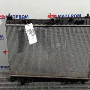RADIATOR MOTOR