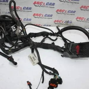 Instalatie motor FORD FIESTA VI 2008-2026 8V5T-12A522-AEE, vedere frontata