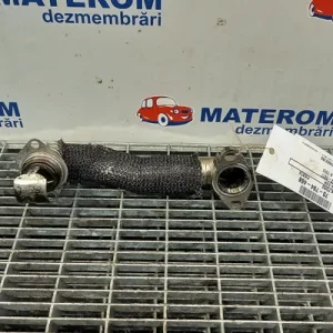 TEAVA EGR